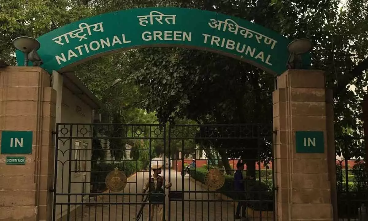 NGT directs Delhi government to pay ` 2,232-crore fine