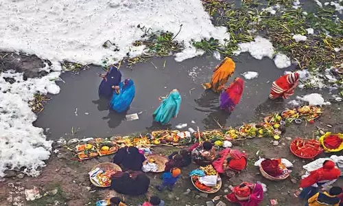 Yamuna pollution: Gap in sewage generation needs to be fixed on a war footing: NGT