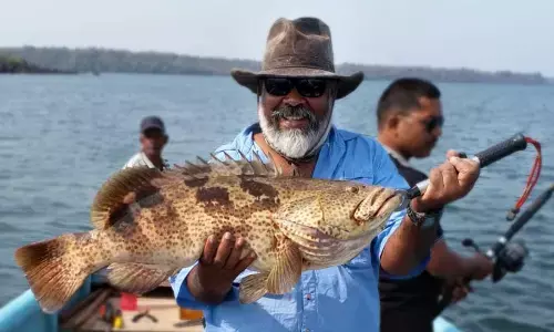 Fisheries sector gets big push in state budget