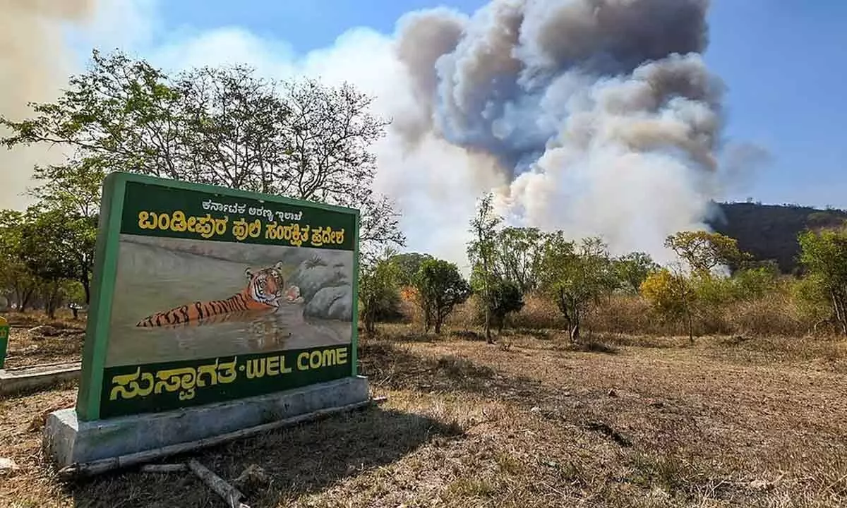All forest, wildlife reserves under fire threat in Karnataka