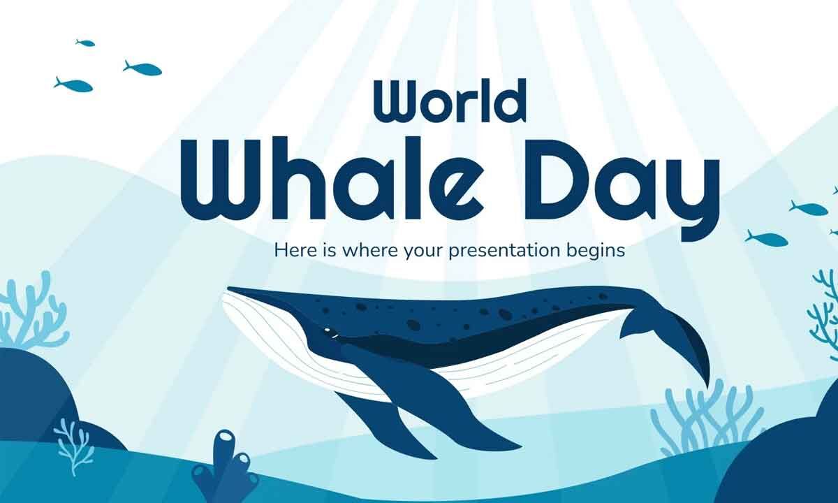 World Whale Day 2024 Poster Presentation October November December