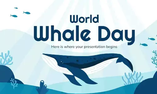 World Whale Day