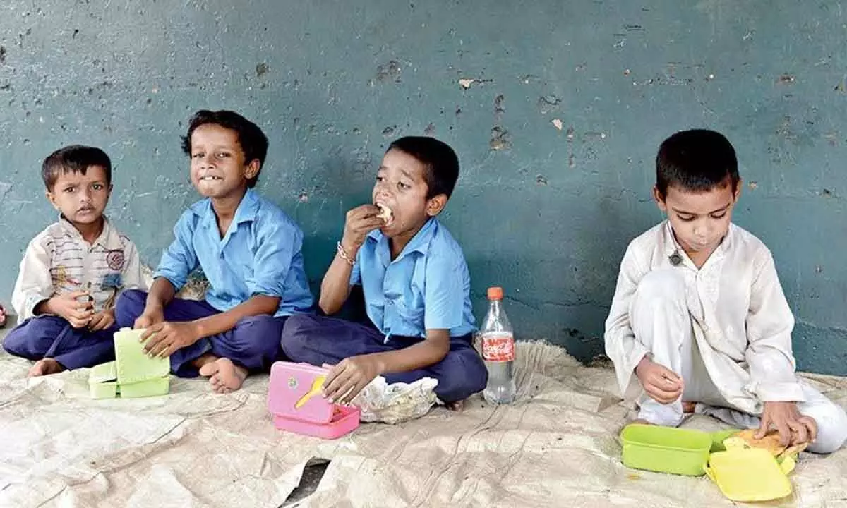 Millets to be part of mid-day meal in Chhattisgarh schools