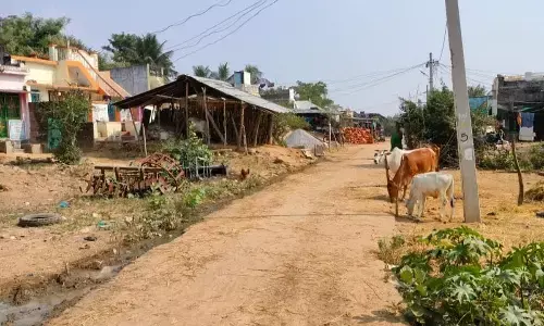 View of Maredukota village in Meliaputti mandal in Srikakulam district