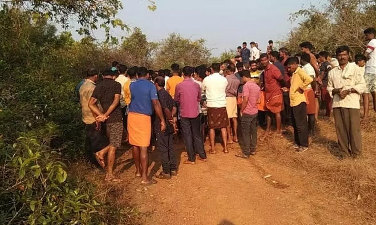 Elephant Attack Leaves Two Dead In Dakshina Kannada