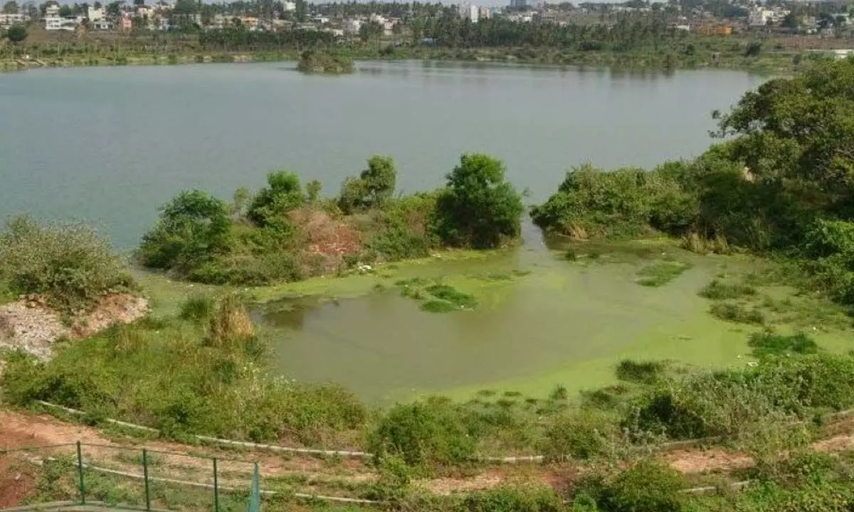 HC notice to Minister over illegal construction on lake