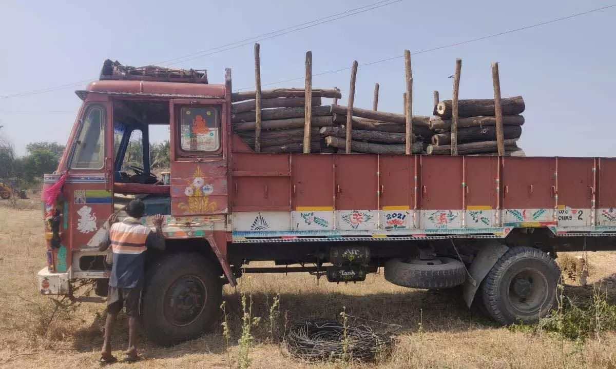 Police busts illegal transportation of timber