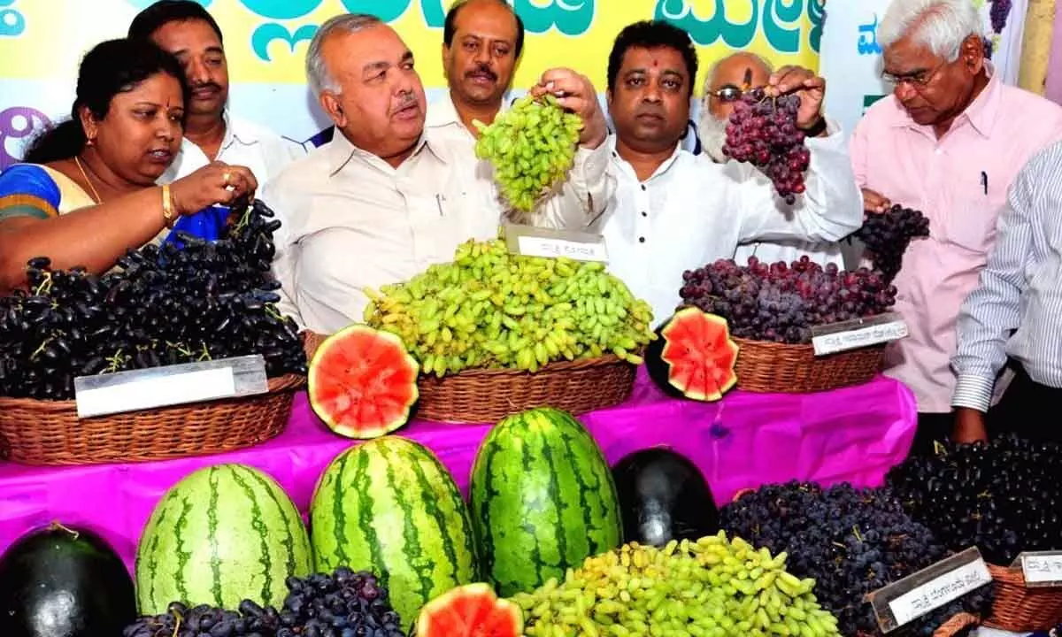 Temperature rises, demand for watermelon and grapes spikes