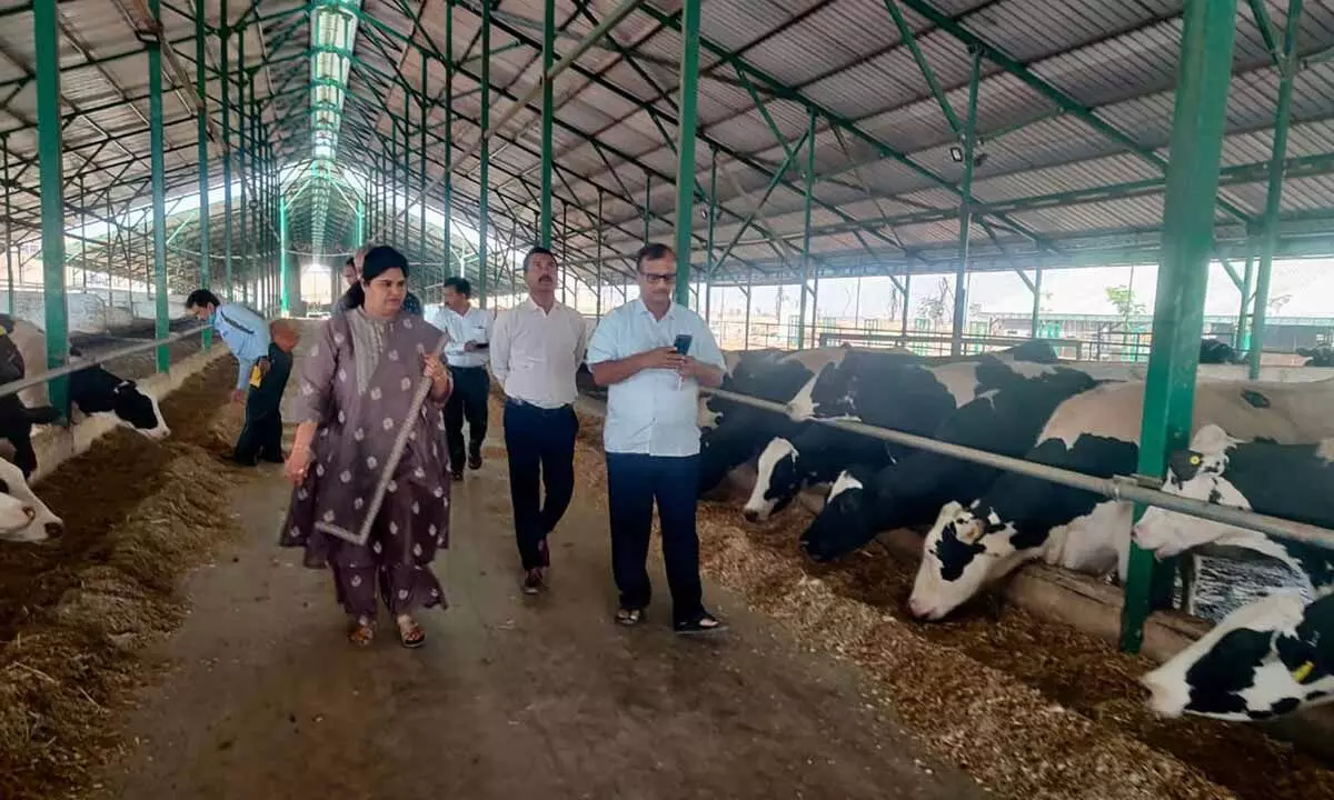 TTD study team led by JEO Sada Bhargavi during a visit to Parag Dairy, near Pune on Tuesday