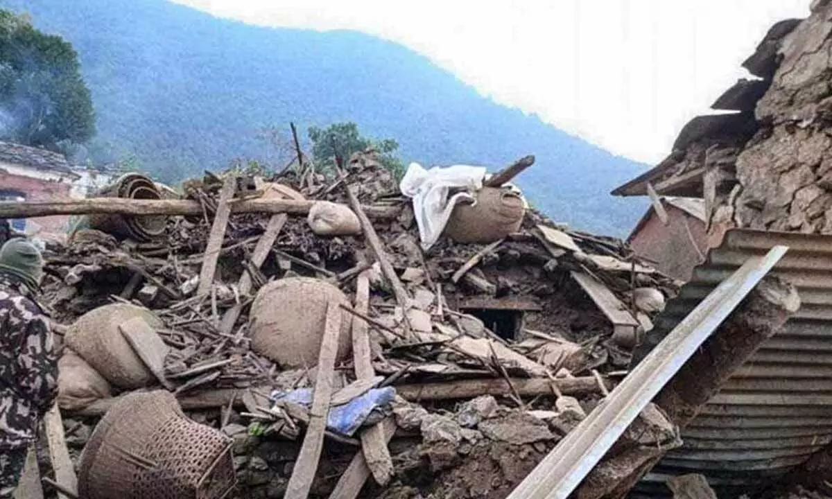 Eight killed in new Turkey earthquake