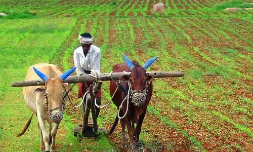 Representational image