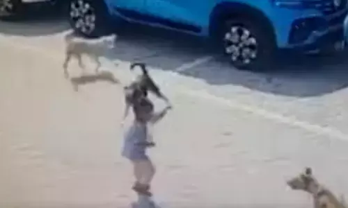 For representational purpose