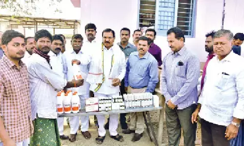 Govt spent Rs 12,000 cr on sheep distribution