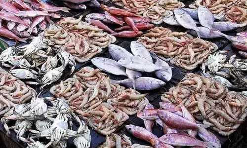 A fish outlet displays products for sale in Anantapur