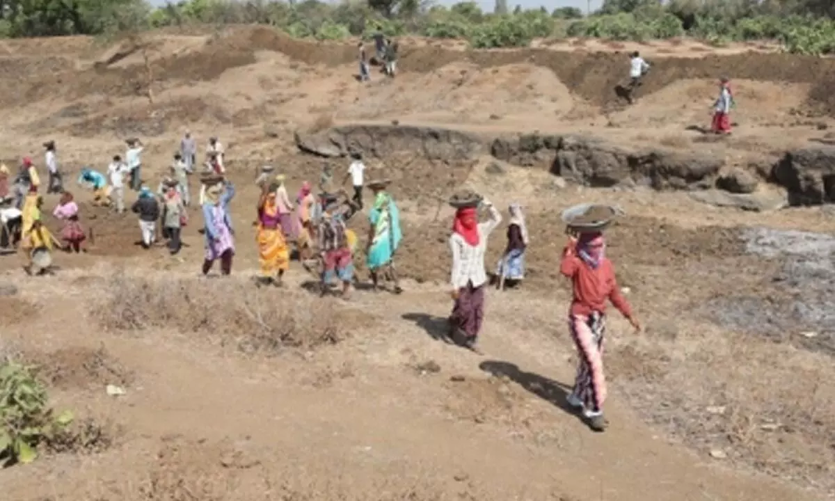 MGNREGA scheme: Nearly 15 lakh fake job cards in West Bengal cancelled in 1 year