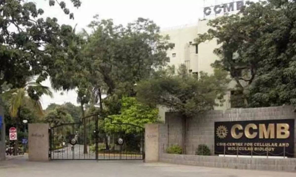 CSIR-Centre for Cellular and Molecular Biology