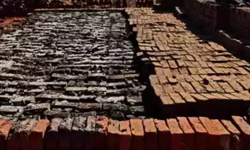 Illegal brick kilns thriving as officials look other way