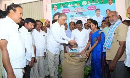 Harish Rao opens sunflower purchase centre
