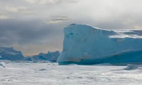 Alarming retreat of sea ice; do we care?