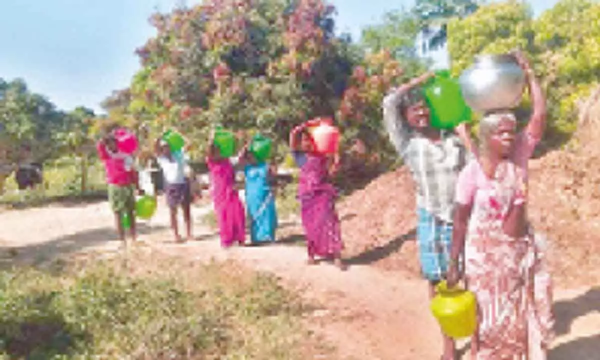 Women from Vaddipalle village in Rayachoti mandal carrying water from the fields by travelling 2-km a day