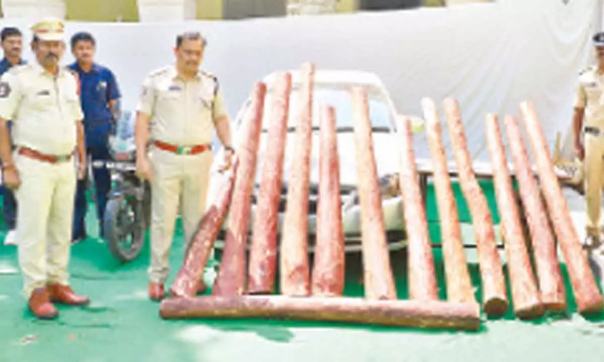 SP Parameswar Reddy having a look at the red sanders and vehicles, which were seized after arresting three smugglers, in Tirupati on Sunday