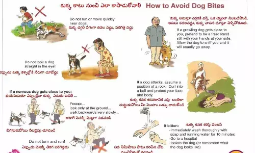 RWAs out to draw roadmap for stray dogs’ management