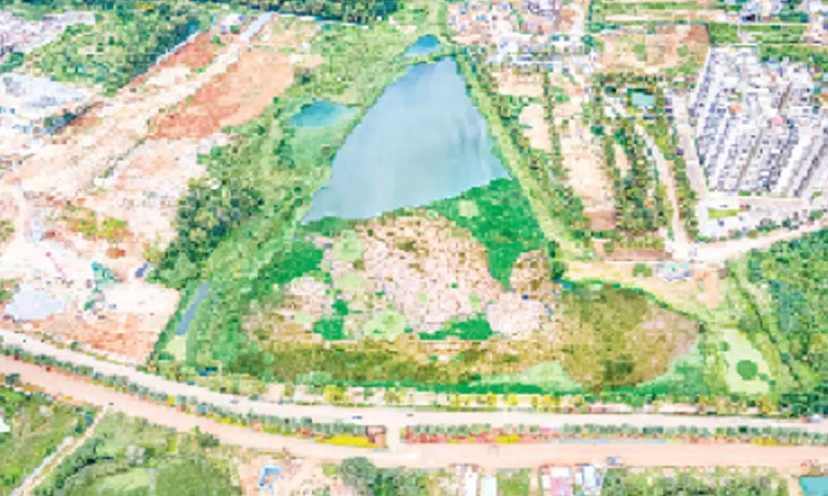 Margondanahalli lake restored, open for public use