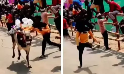 Watch The Trending Video Of A Man Getting Instant karma After Hitting Bull