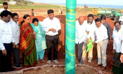 GVMC commissioner P Raja Babu, among others, taking part in coconut plantation drive at Sagar Nagar beach in Visakhapatnam on Monday