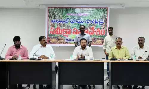 DC tells farmers to grow oil palm for financial sustenance