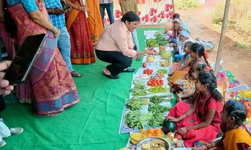 Wanaparthy schools celebrate Science day