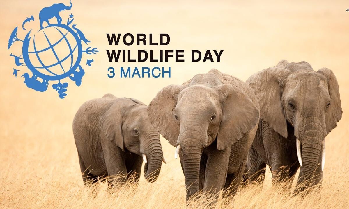 World Wildlife Day 2023 Theme, Significance, Importance, History