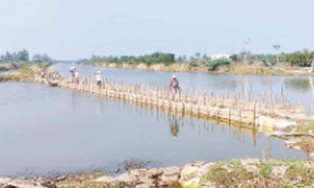 Cross bund at Kunavaram major drain in Dr BR Ambedkar Konaseema district
