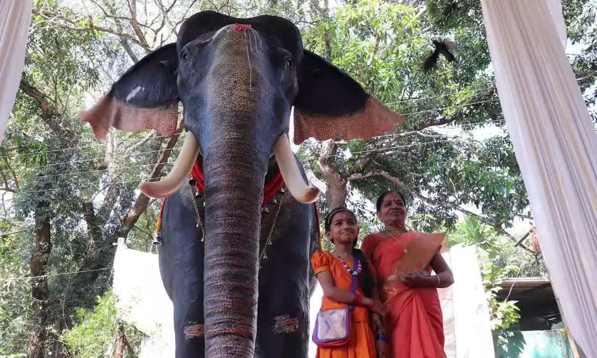 Kerala temple celebrated ‘Nadayiruthal’ of lifelike mechanical elephant gifted by PETA India