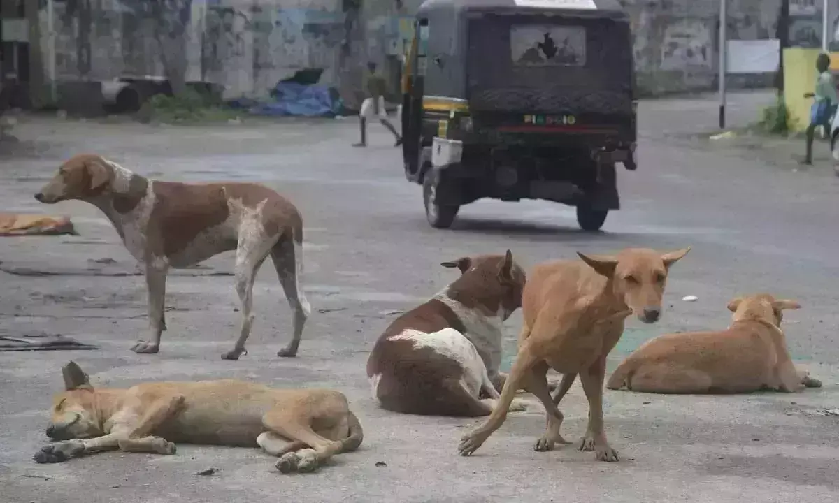 Todays Top 5 Hyderabad News Updates