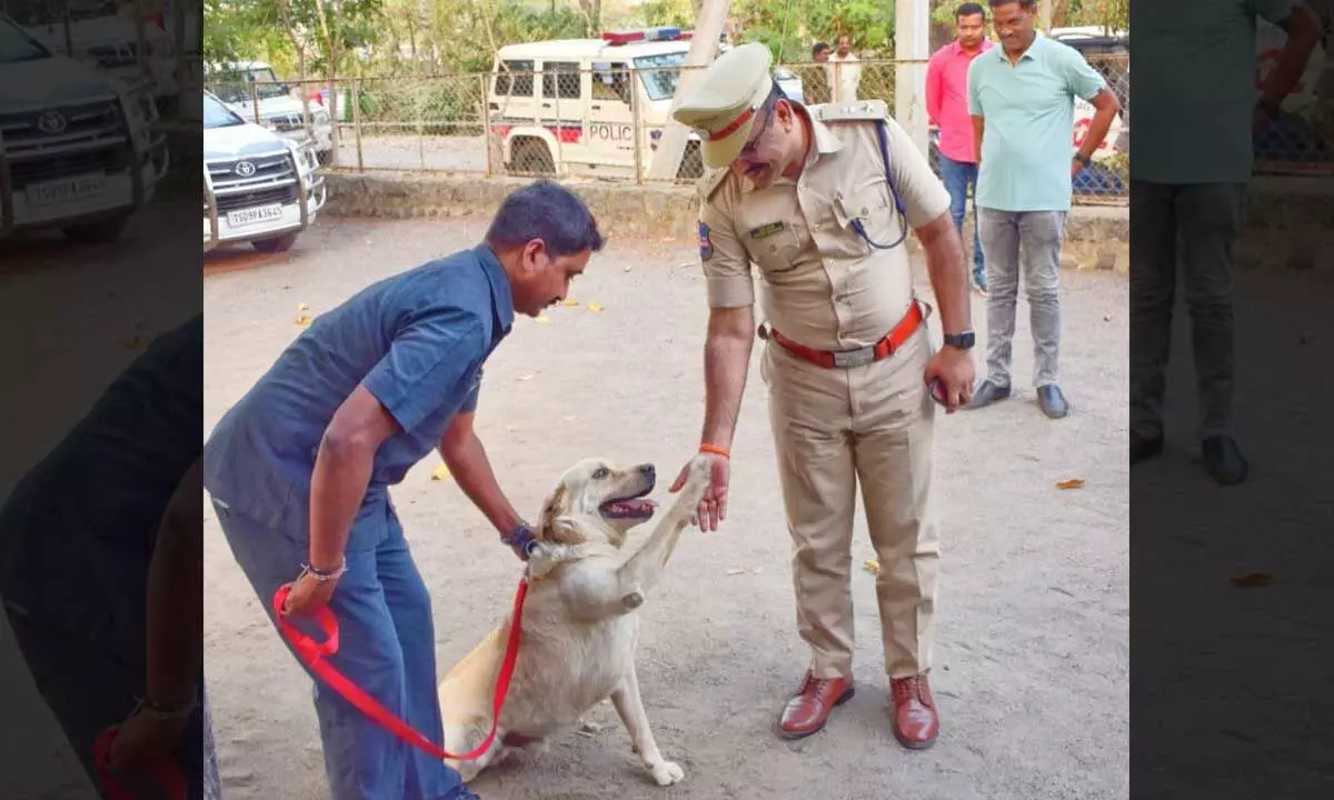 Kondagattu temple robbery: Sniffer Dog plays a key role to nab thieves