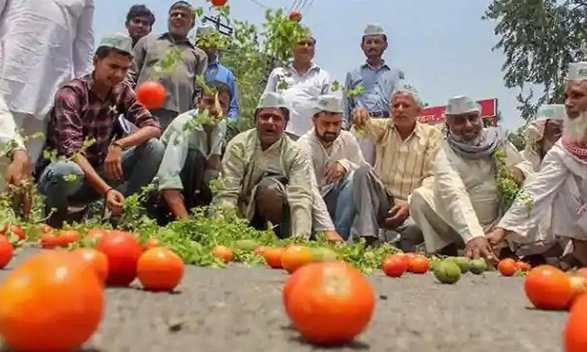 ‘Farm to flop’ scenario across India