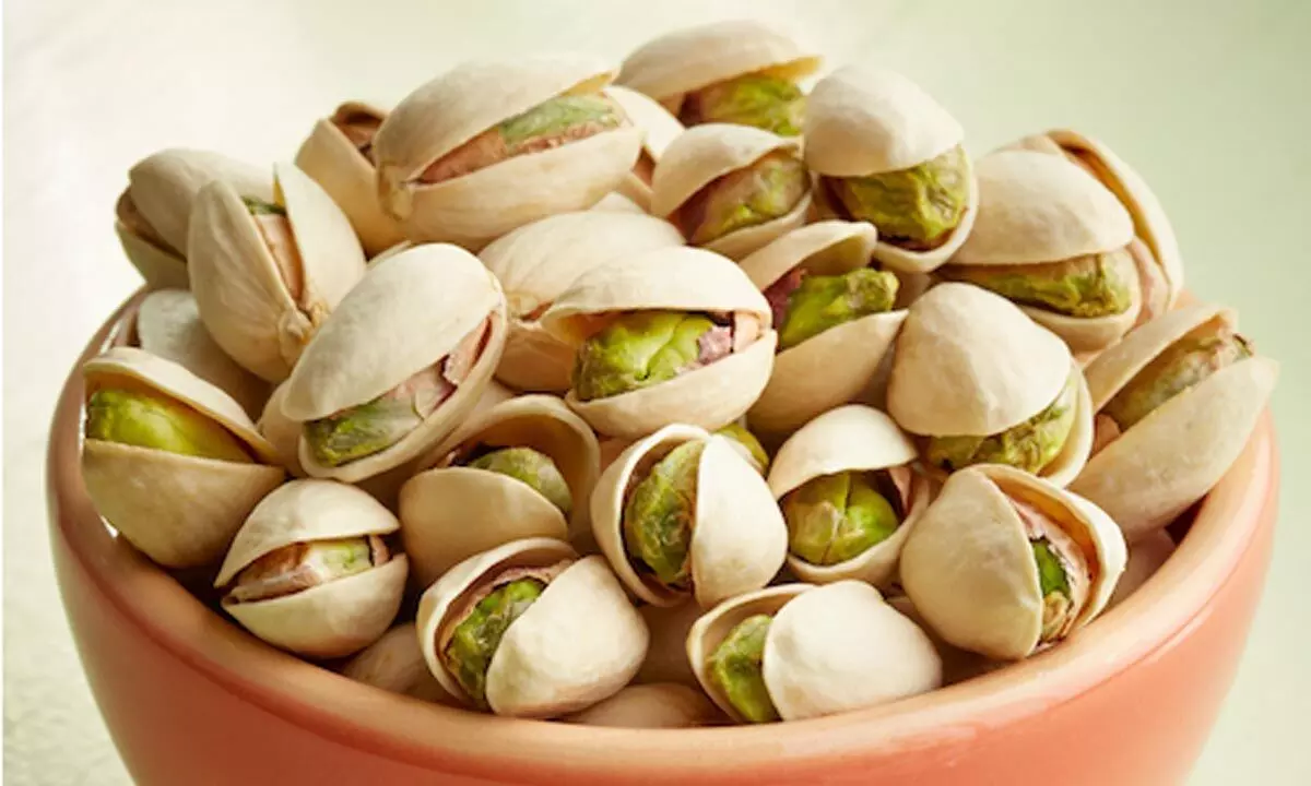 APG holds session on pistachios
