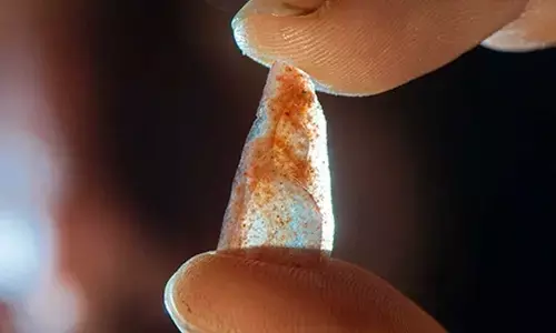 Ludovic Slimak holding a Neronian nanopoint found in Grotte Mandrin layer E. (Philippe Psaila/Eurekalert!/AFP)