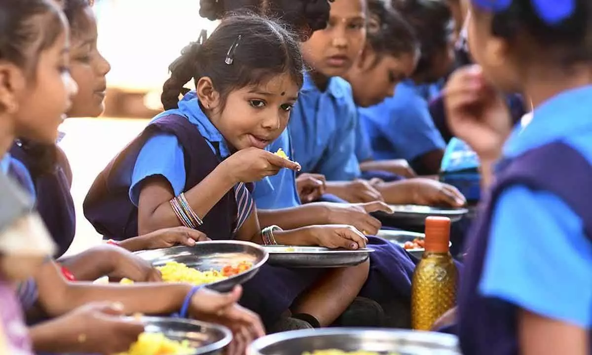 Collector suspends midday meal officer