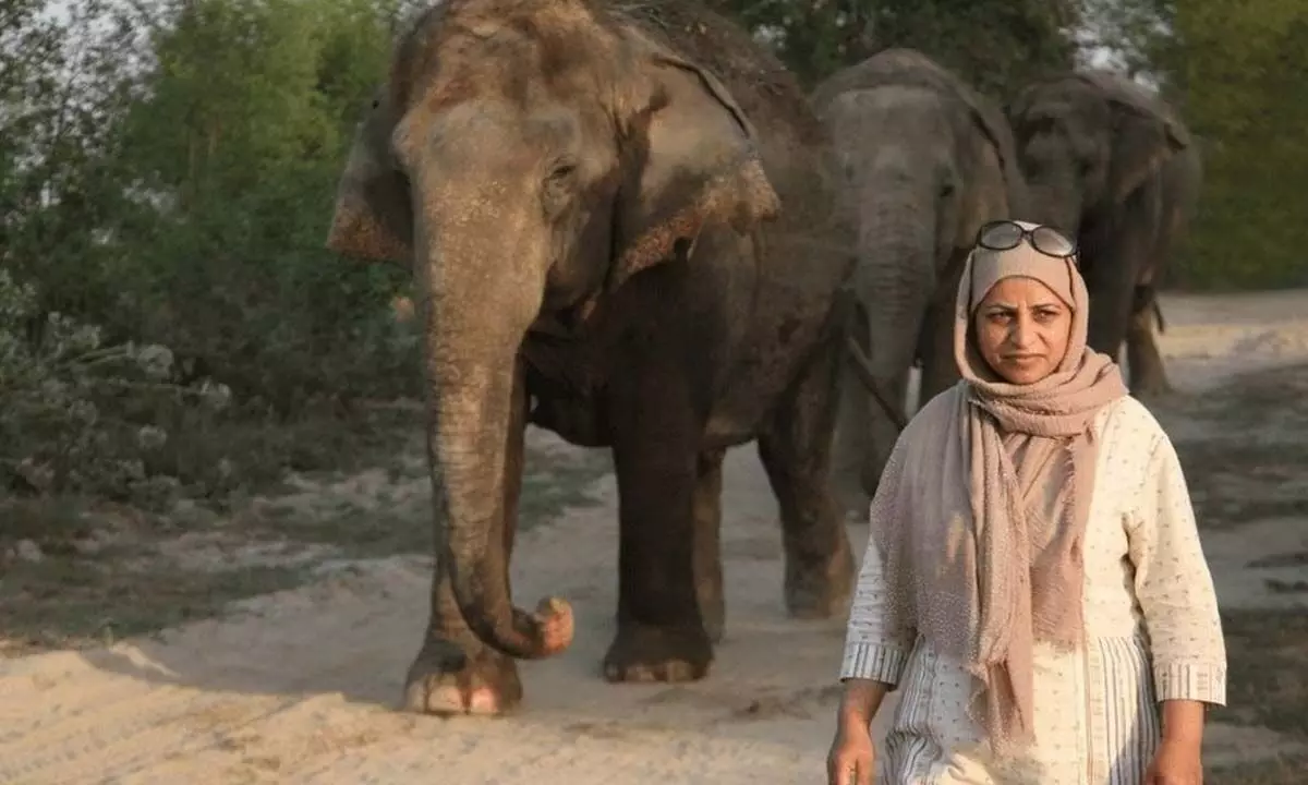 Aliya Mir: A life in service of wild animals