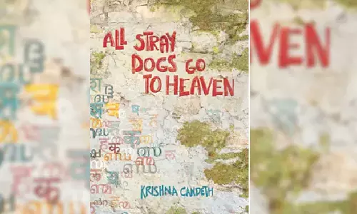 An evocative book of unforgettable stories