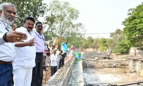 Officials directed to complete Picket Nala works by April end