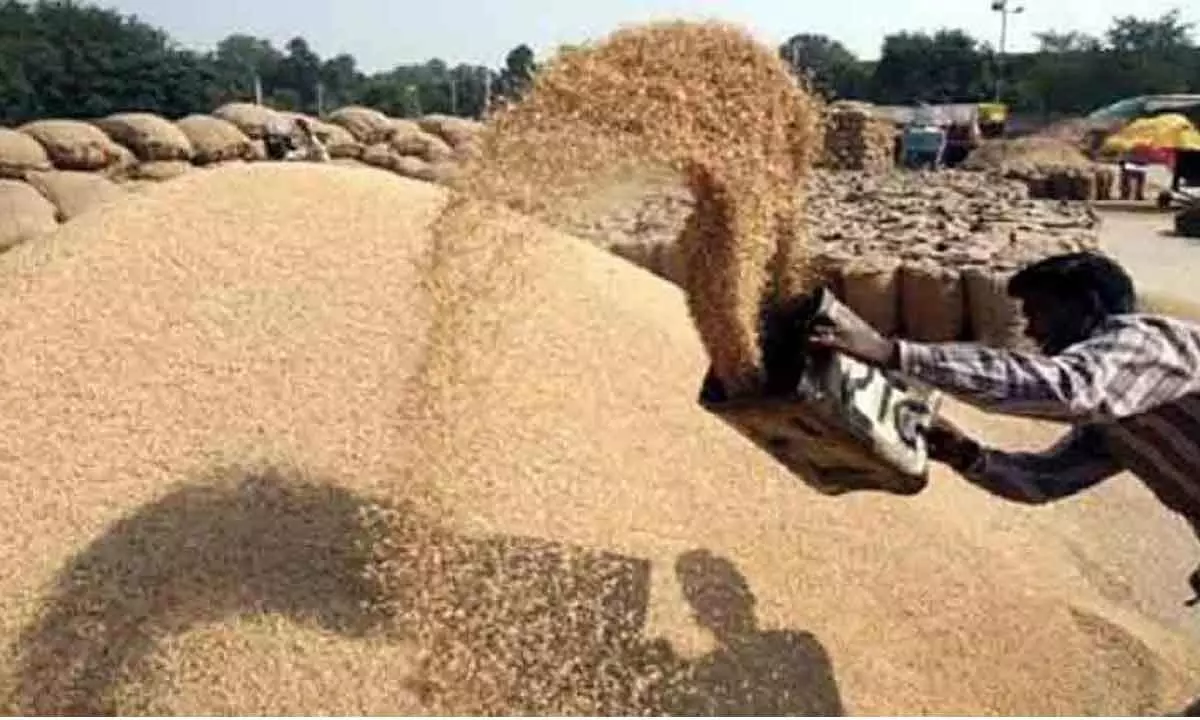 Farmers associations demand govt support to procure paddy