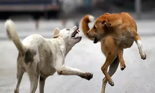 Representational image