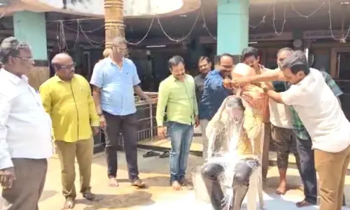 Performing spl puja to caste leader at temple draws flak