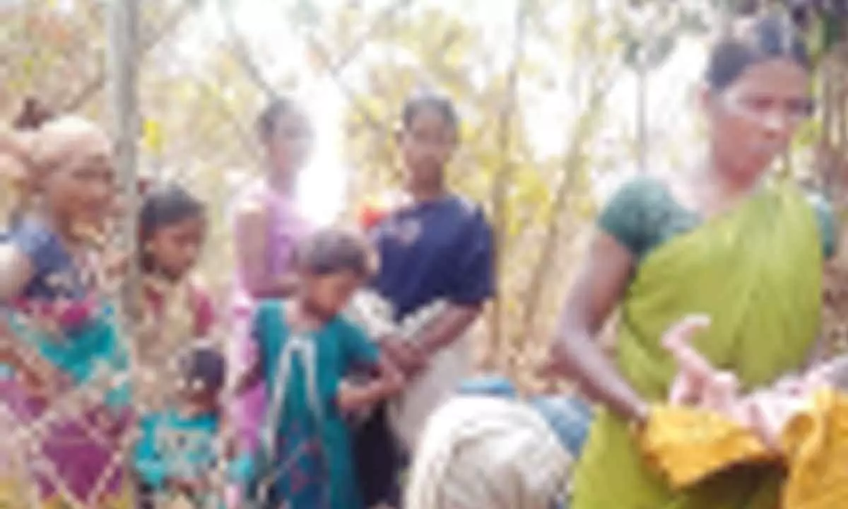 Tribal woman delivers baby in forest
