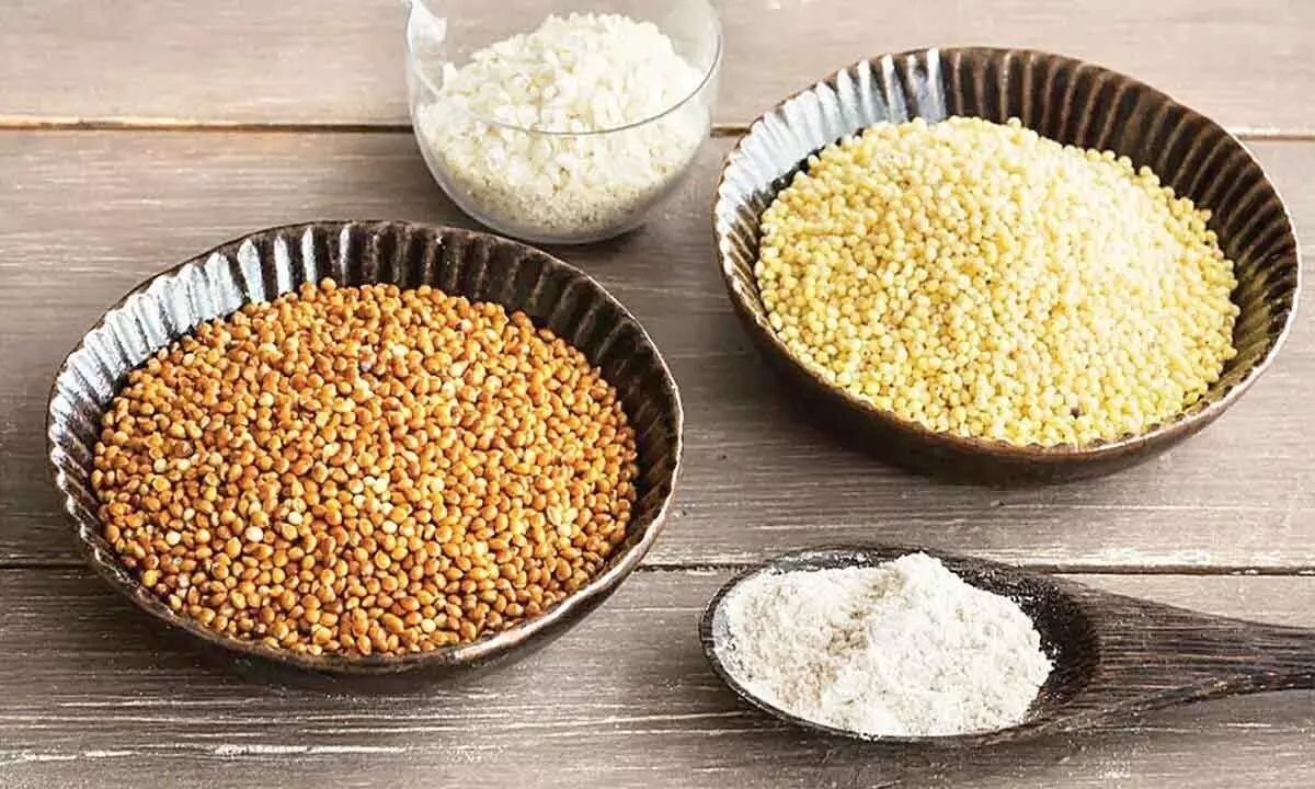 Reject hybrid varieties, promote traditional millet crop in India