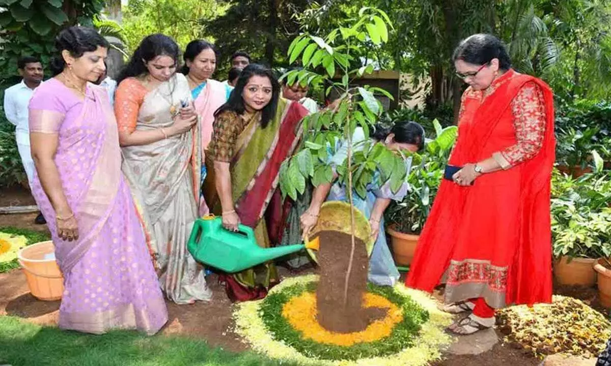Several women take up Green India Challenge across Telangana, plants saplings