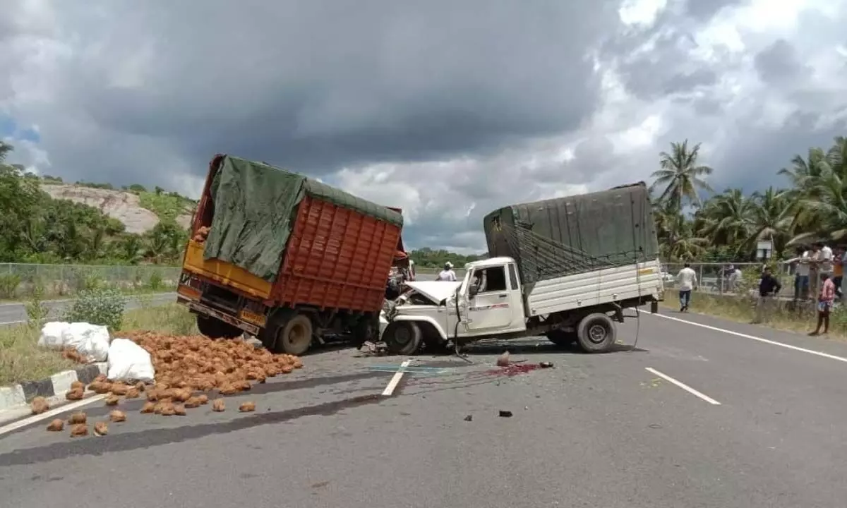 Bengaluru-Mysuru expressway has already claimed 80 lives in last six months